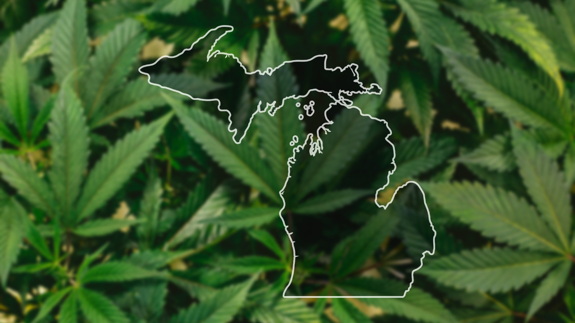 Mid Michigan marijuana dispensaries facing disciplinary action