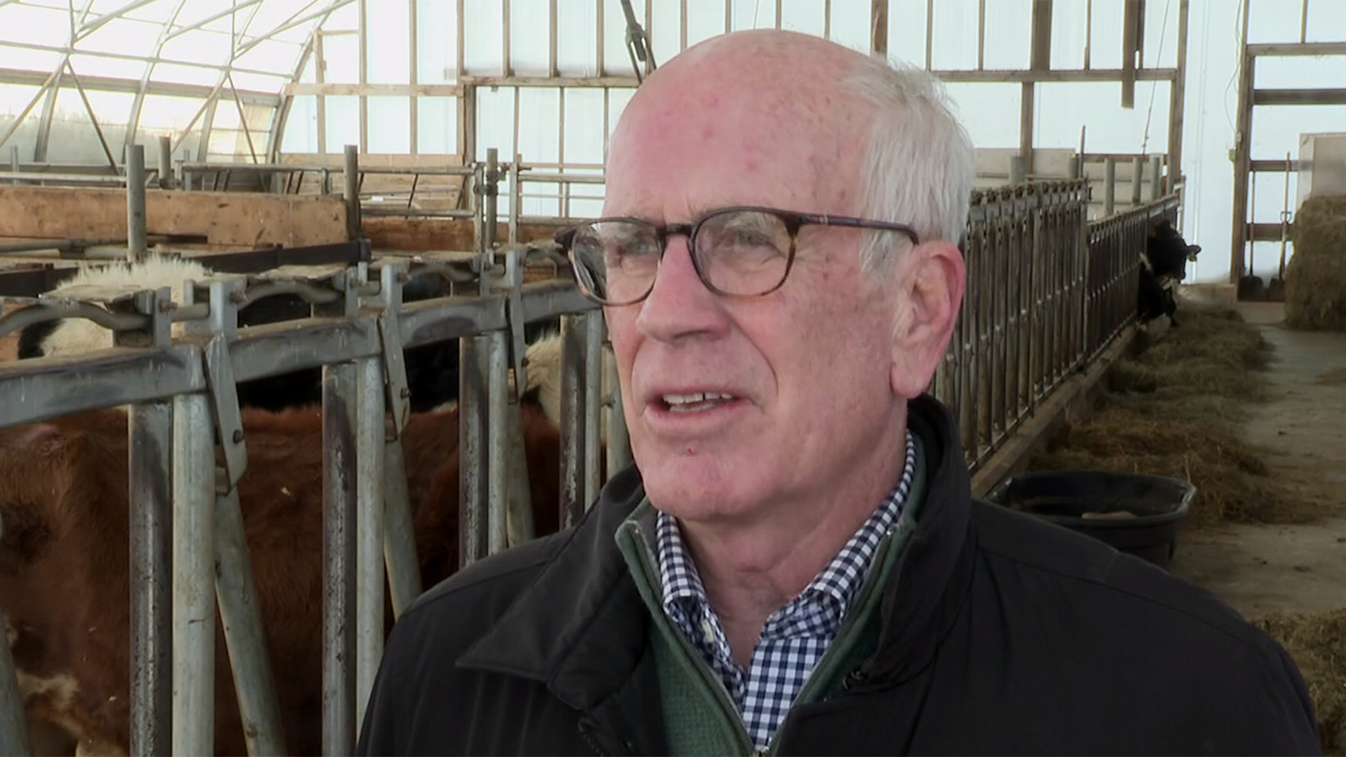 Peter Welch on being the Senate's (old) new guy, dairy, and how