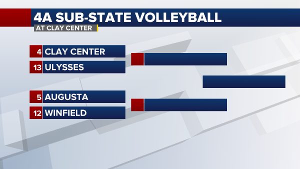 Volleyball: WCA set to contend for Section 6A crown - Alexandria