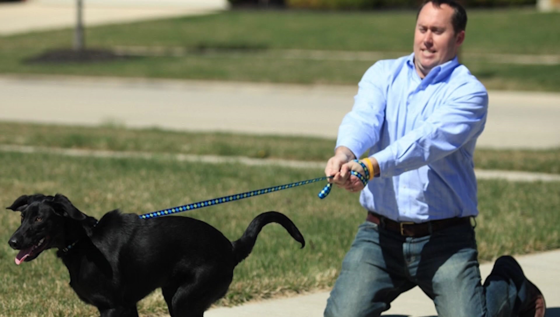 dog leash around wrist