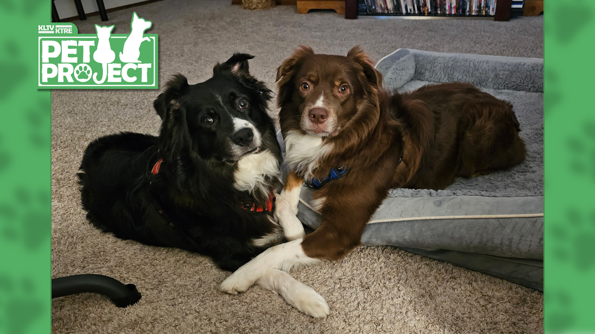East Texans share photos of their beloved dogs for National Dog