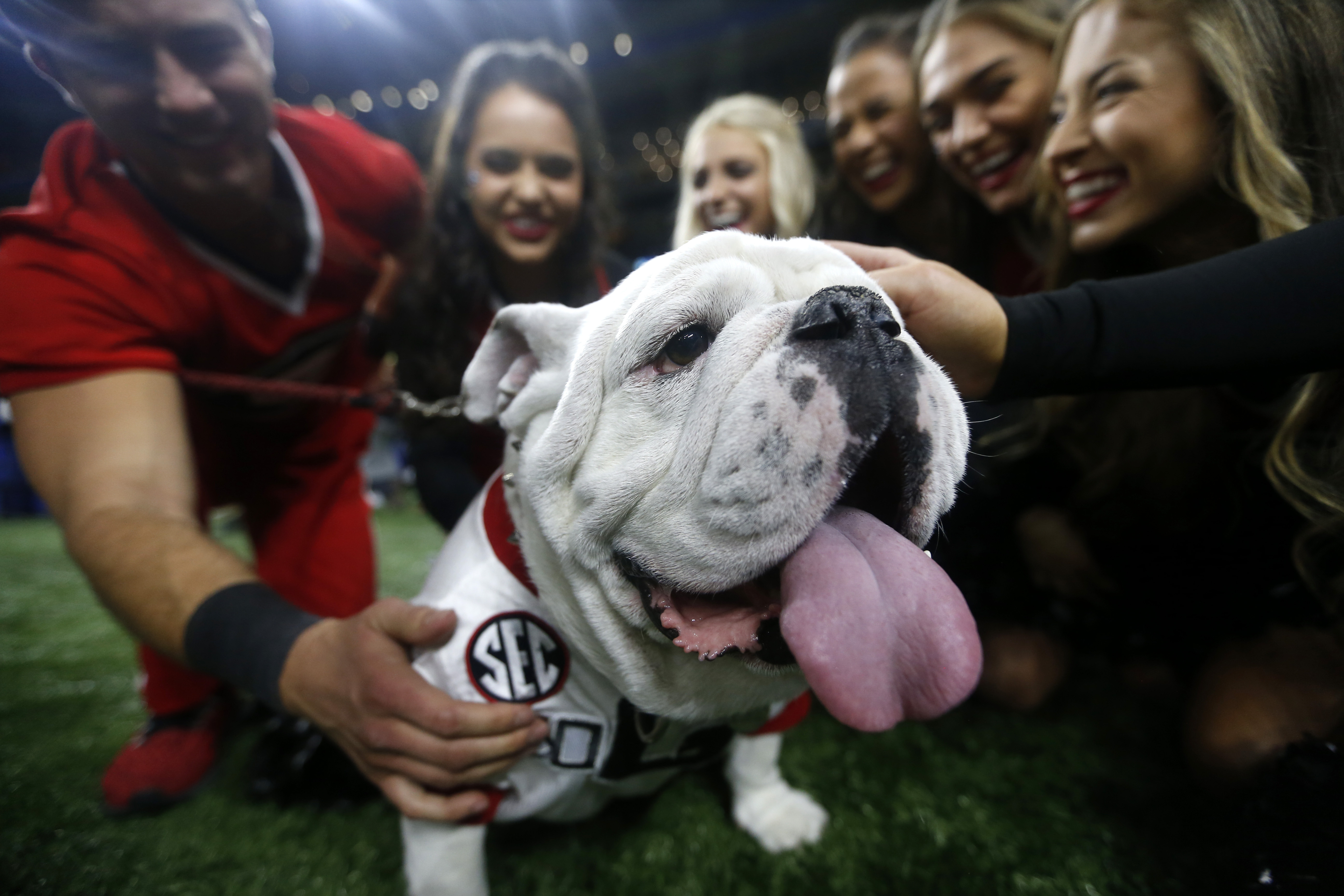 Stetson Bennett Georgia Bulldogs #13 Mascot 100th Anniversary