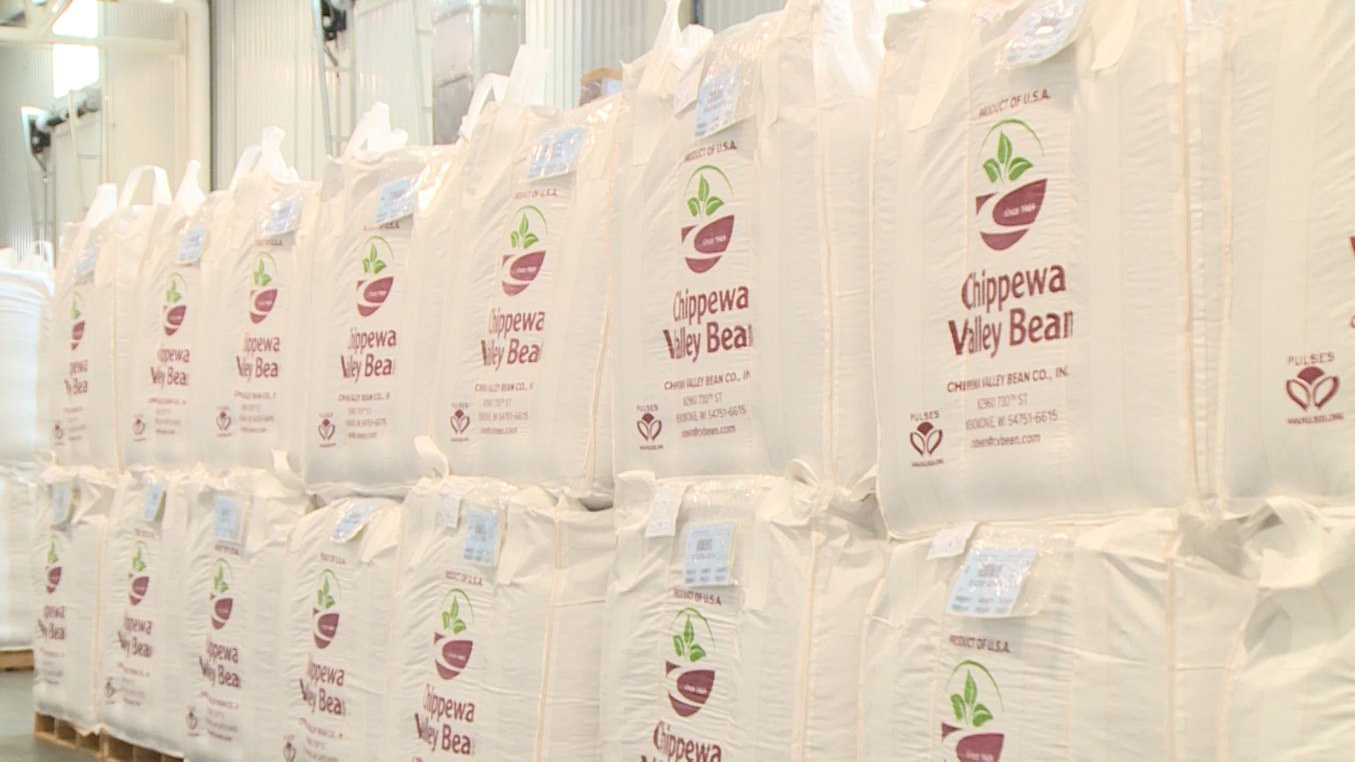 Chippewa Valley Bean brings worldwide attention to Dunn County