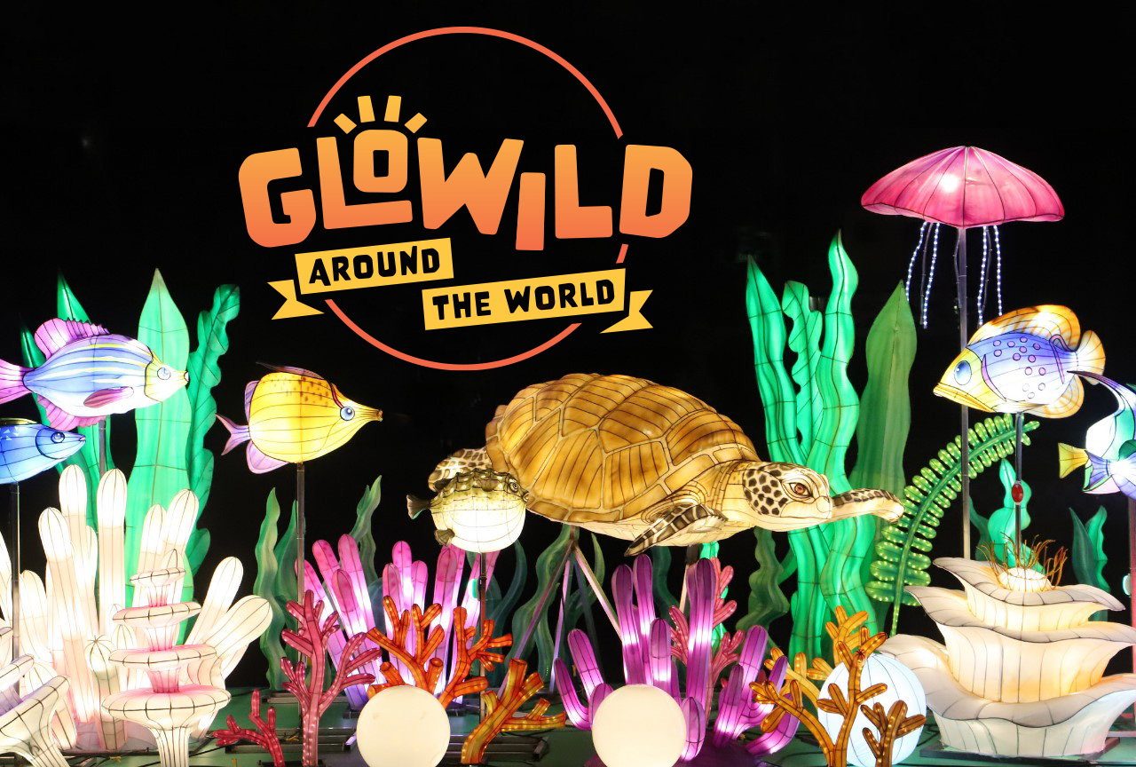 GloWild lights up the Kansas City Zoo for second season