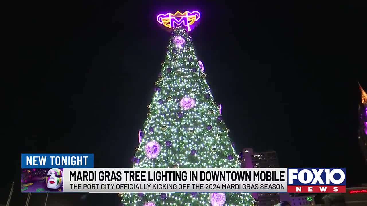 Mardi Gras tree officially lit for the 2024 carnival season
