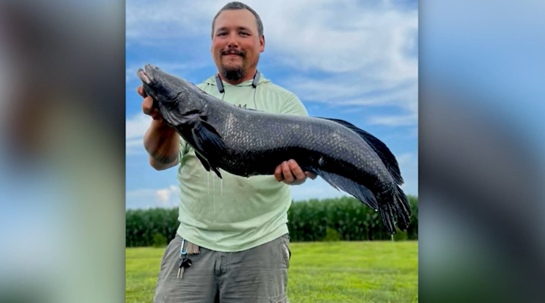 Record-breaking invasive snakehead fish caught in Maryland