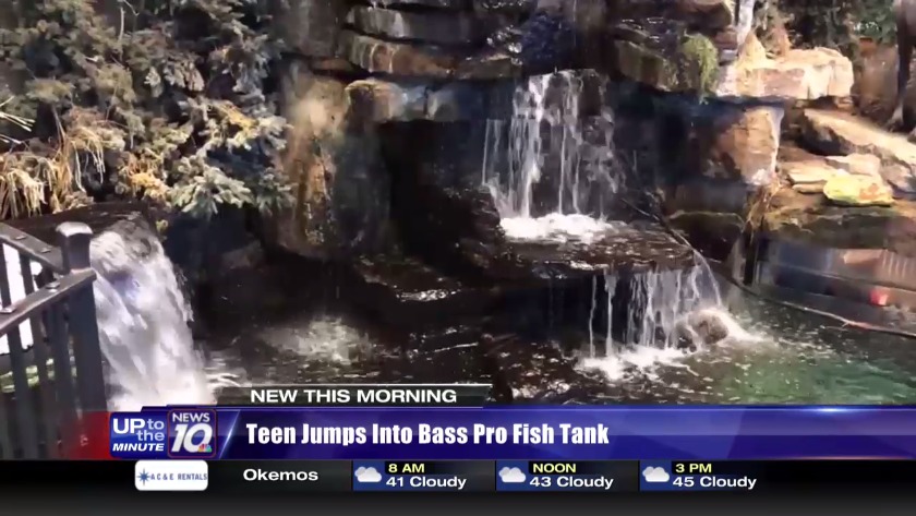 Teen could face possible charges after jumping into fish tank at Bass Pro Shops