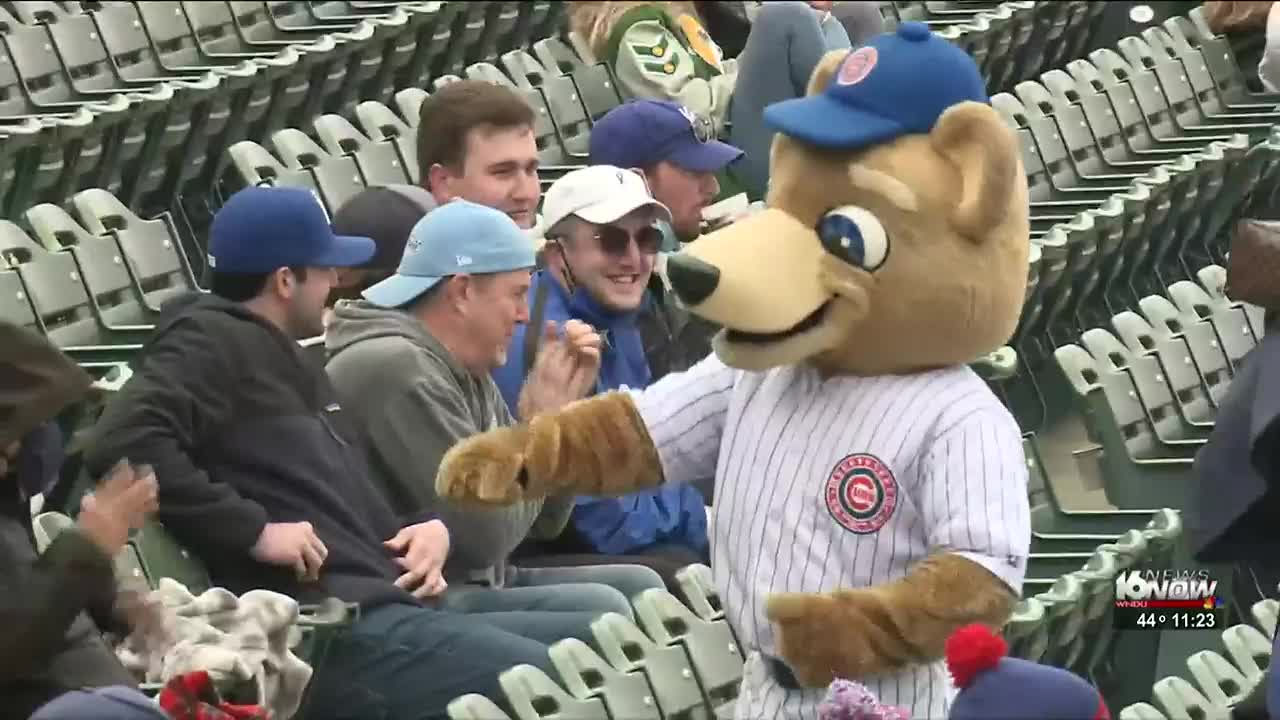 South Bend Cubs drop new mascot on fans, ask them to name it