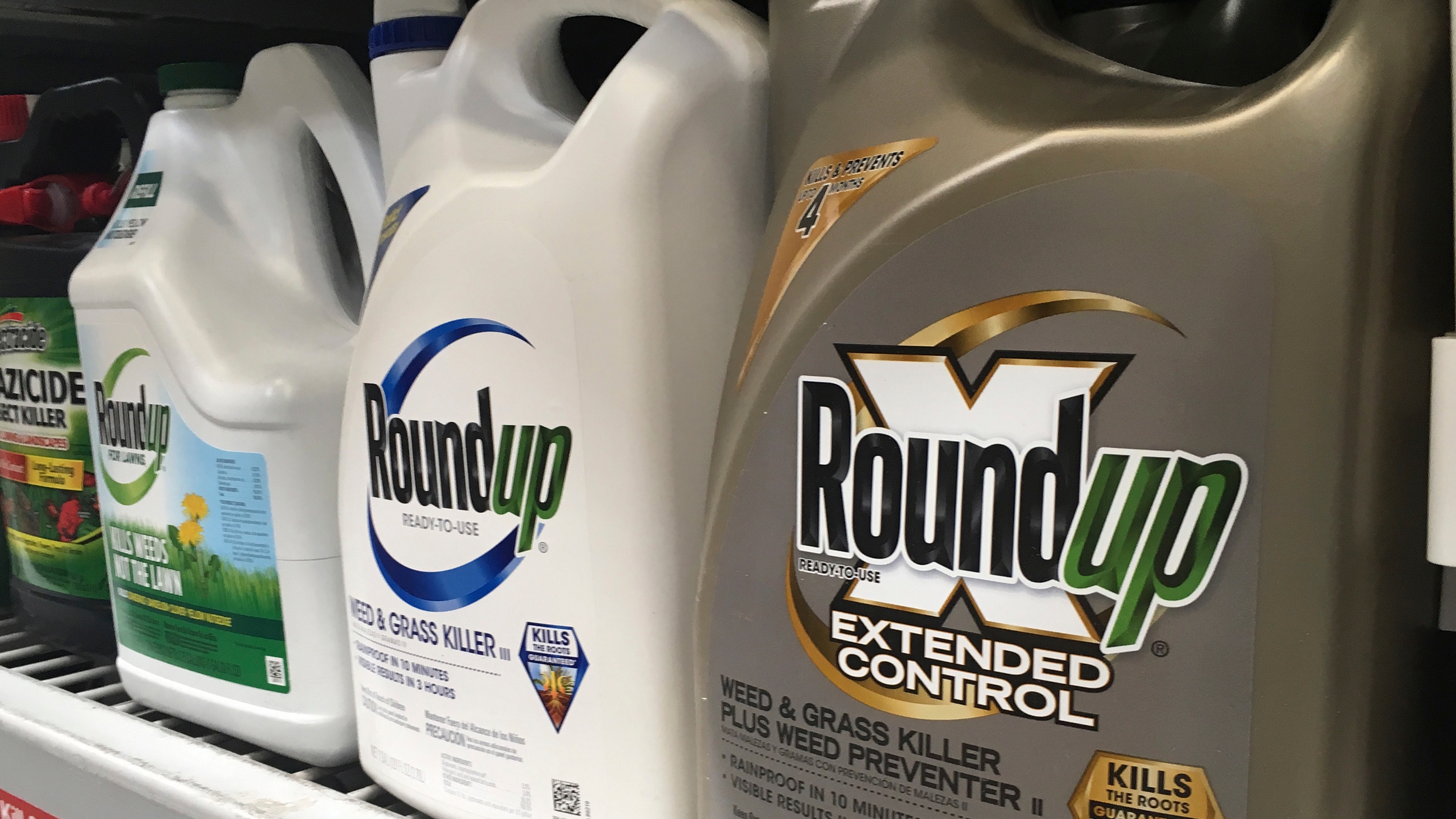 Bayer will replace glyphosate in some Roundup products