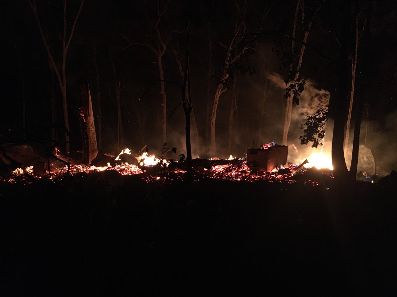 World's largest tree house burns to ground, image size:1280x960