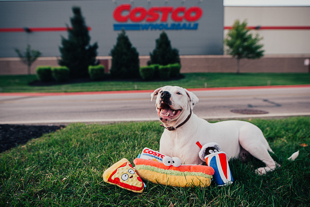 Costco shoppers can soon treat their canines with food court dog toy bundle