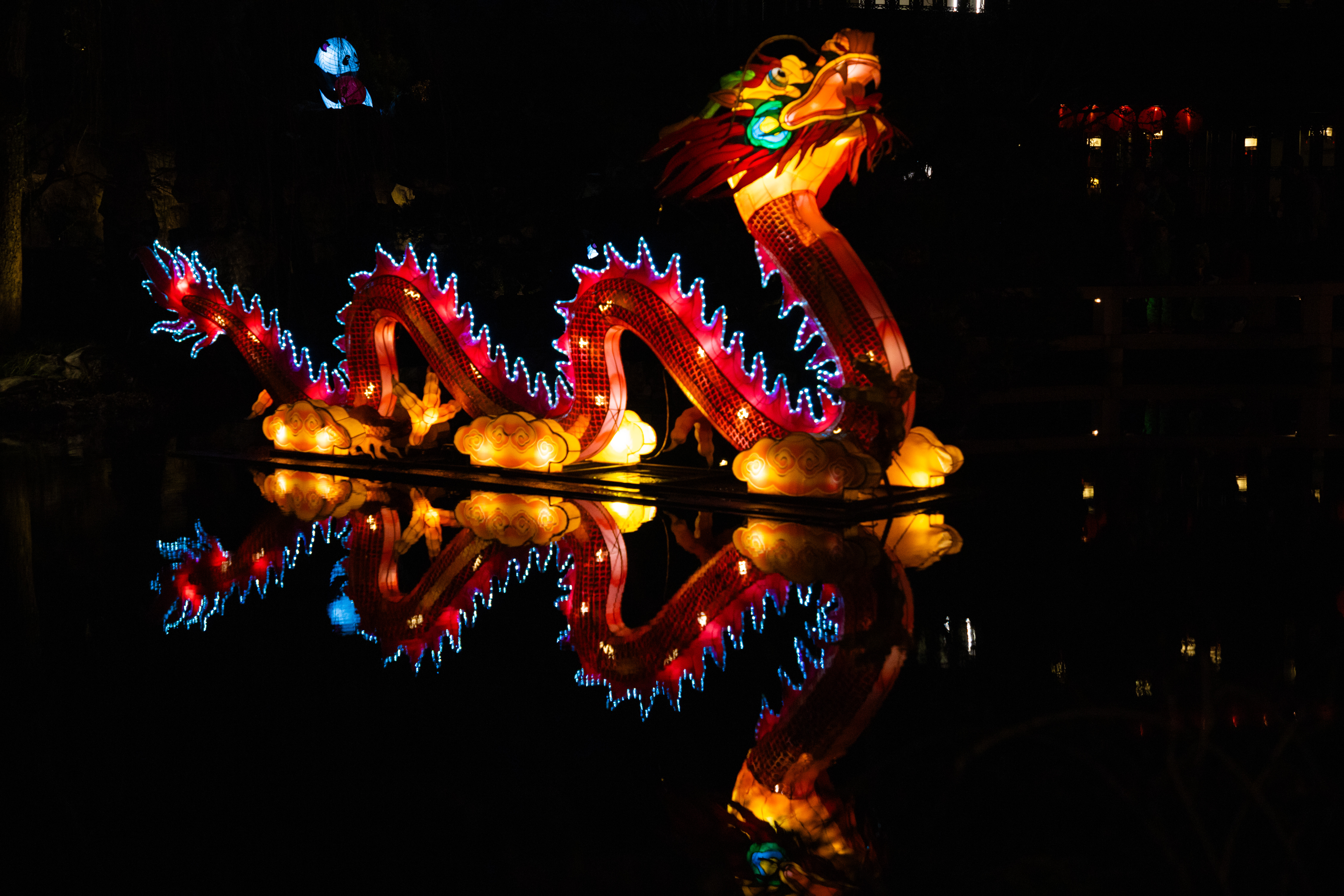 GALLERY: Lan Su Garden kicks off lantern viewings for Lunar New Year