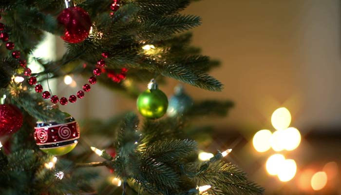 Christmas Help 2022 Richmond Va Holiday Fun: Here's A Look At 2021 Holiday Events In Central Virginia