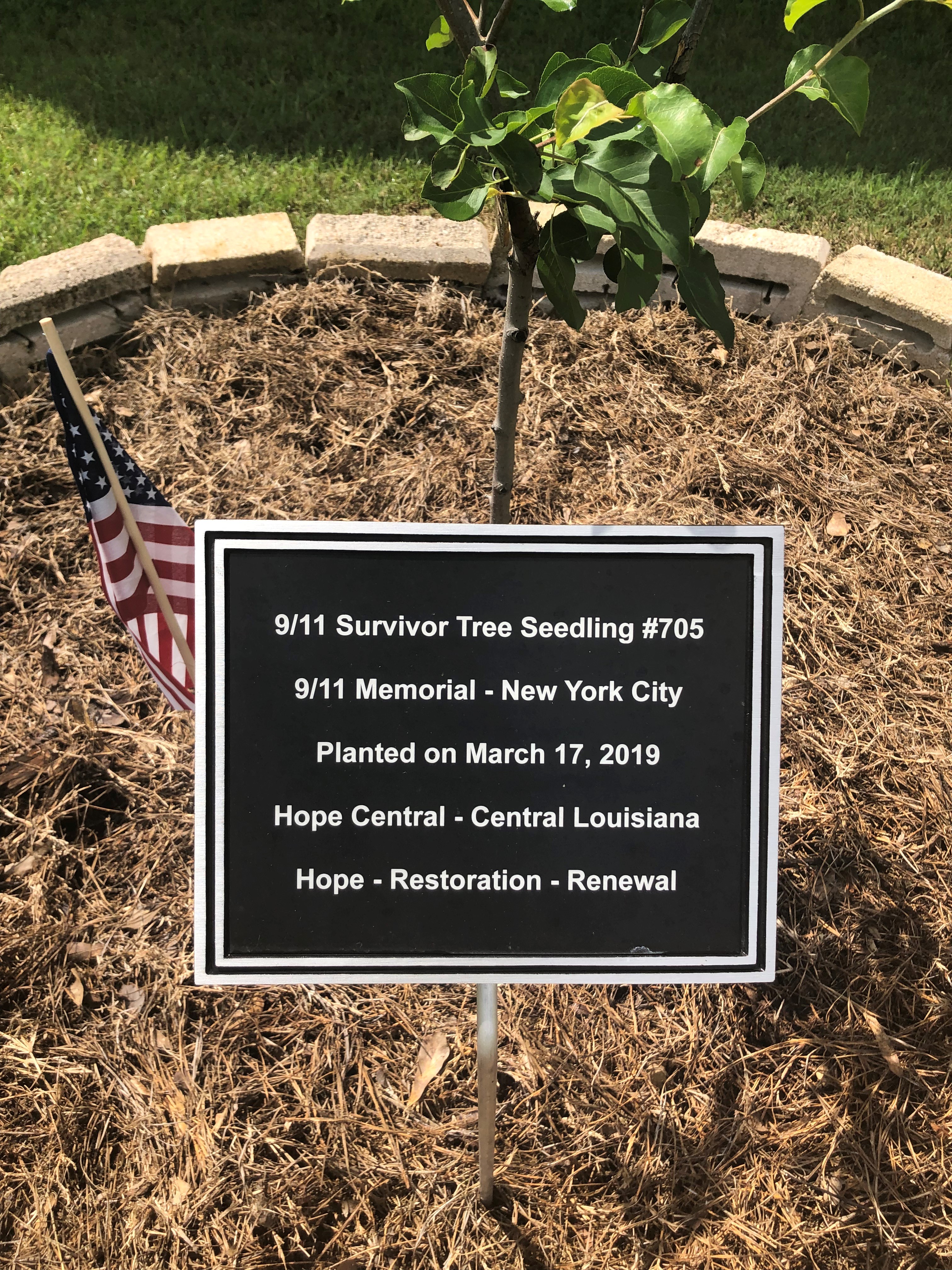 Little Falls Awarded 9/11 Memorial Survivor Tree Seedling