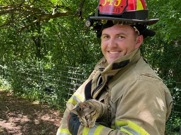 Palestine firefighter saves cat stuck in tree, continues animal ...