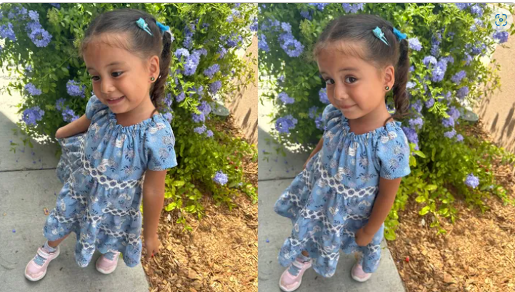 3-year-old girl dies after mom allegedly locked both of them in