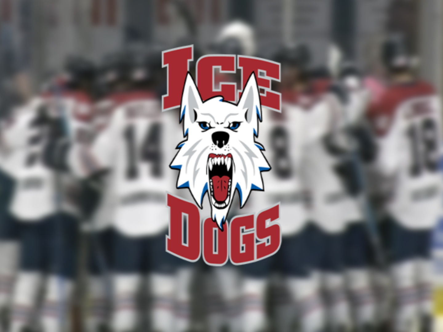 Fairbanks Ice Dogs win Robertson Cup at Braemar Arena on REALice - REALice®
