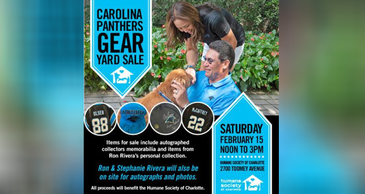 Carolina panthers merchandise store sale