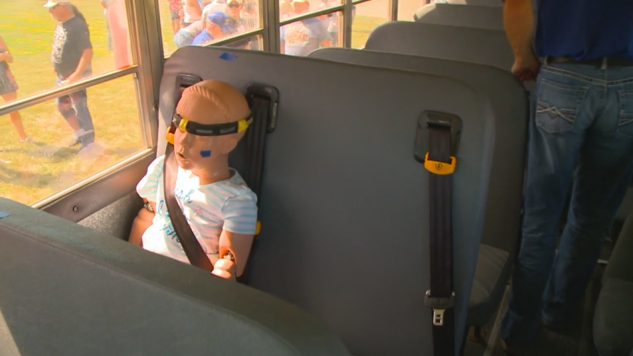 school bus seat belts