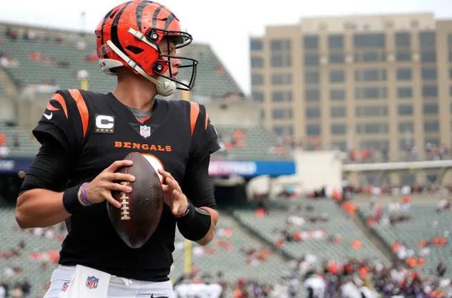 How wide is the gap between the Cleveland Browns & Joe Burrow/Cincinnati  Bengals in the AFC North?