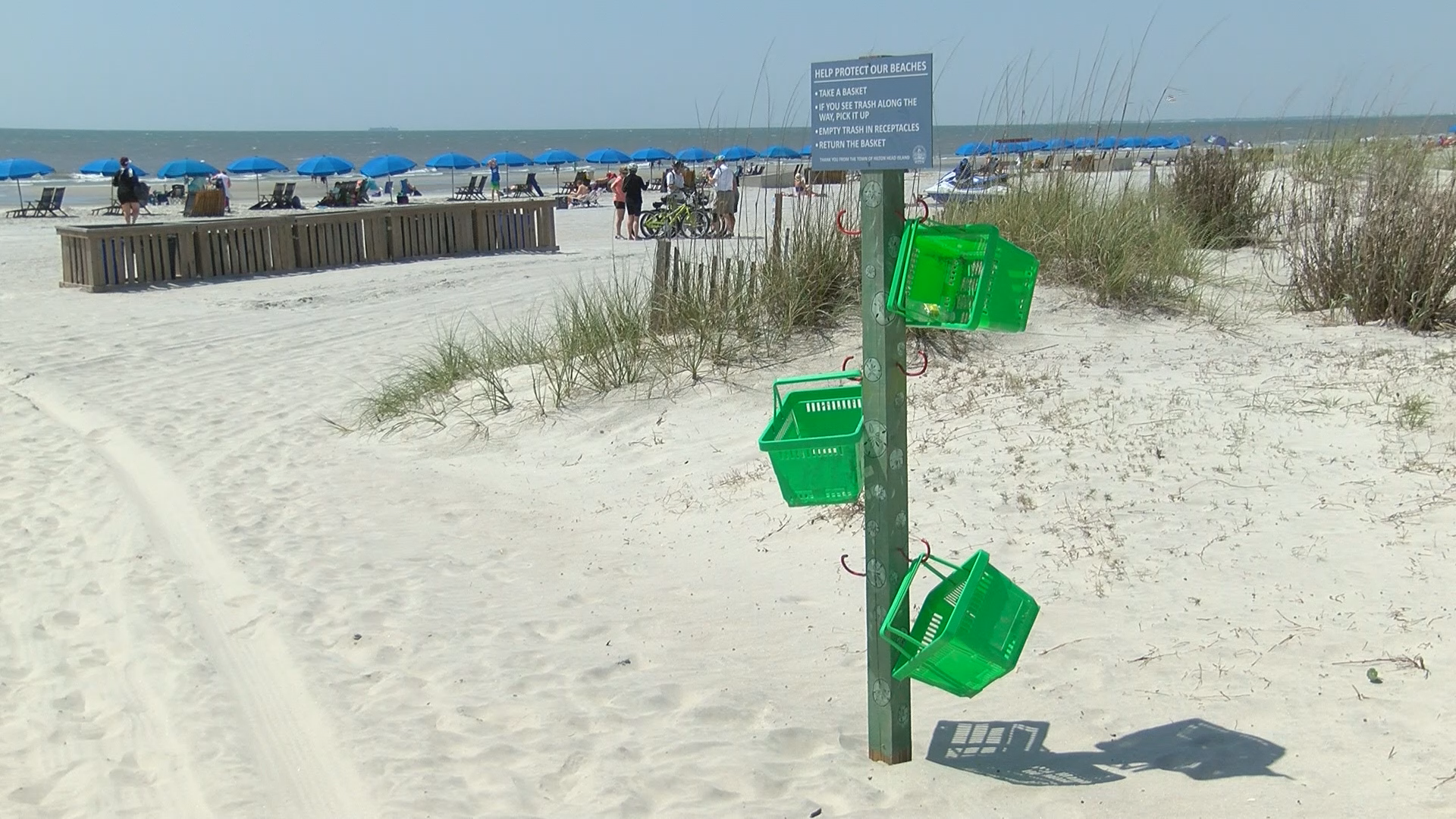 Hilton head news