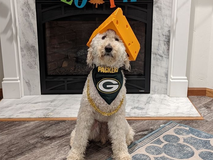 Green Bay Packers Running Dog Costume