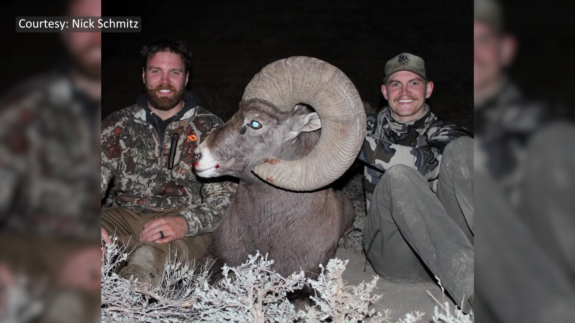 Mekinock, ND hunter shoots state record bighorn sheep