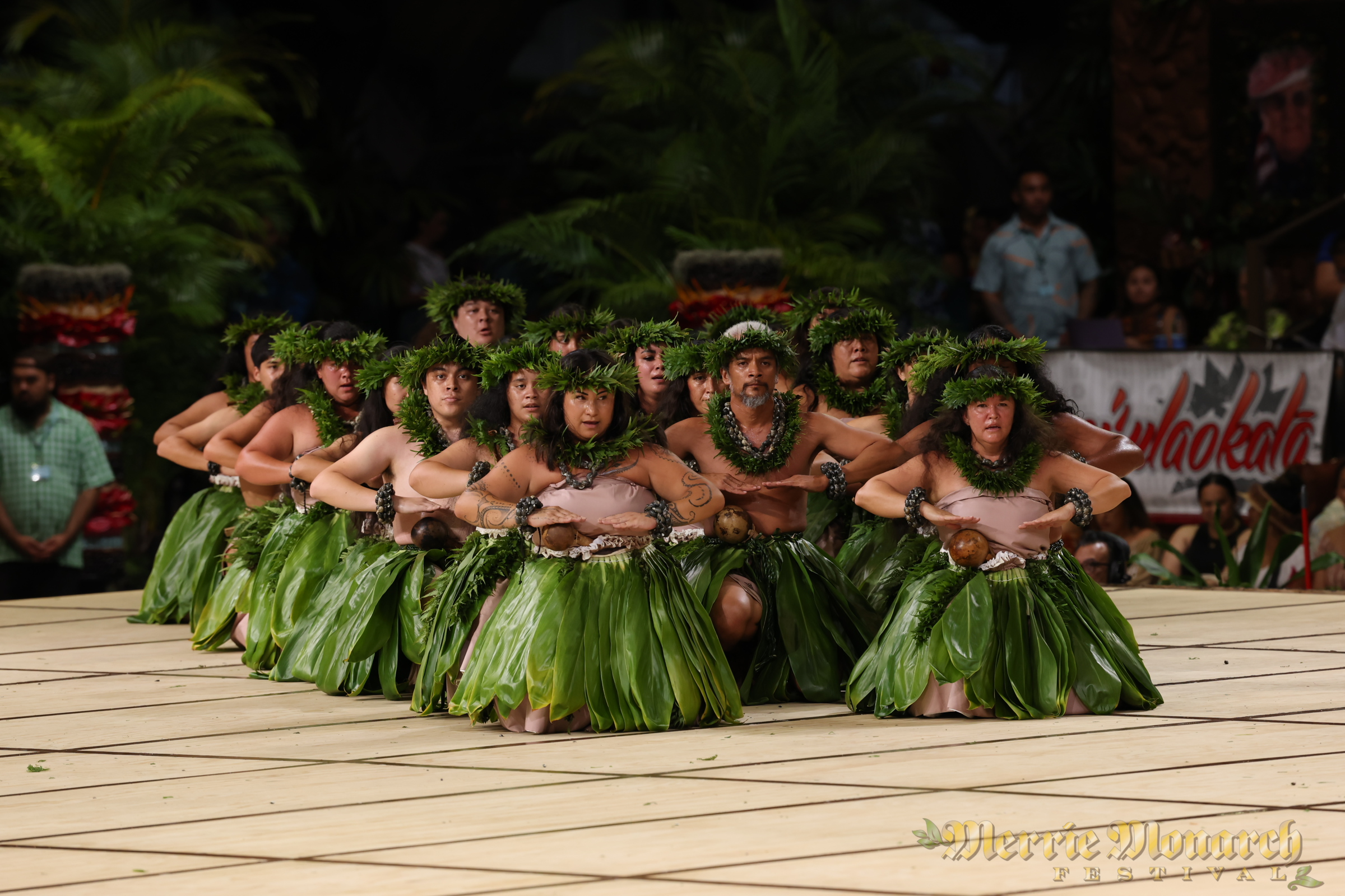 Merrie Monarch Festival 1995 Hawaii ハワイ