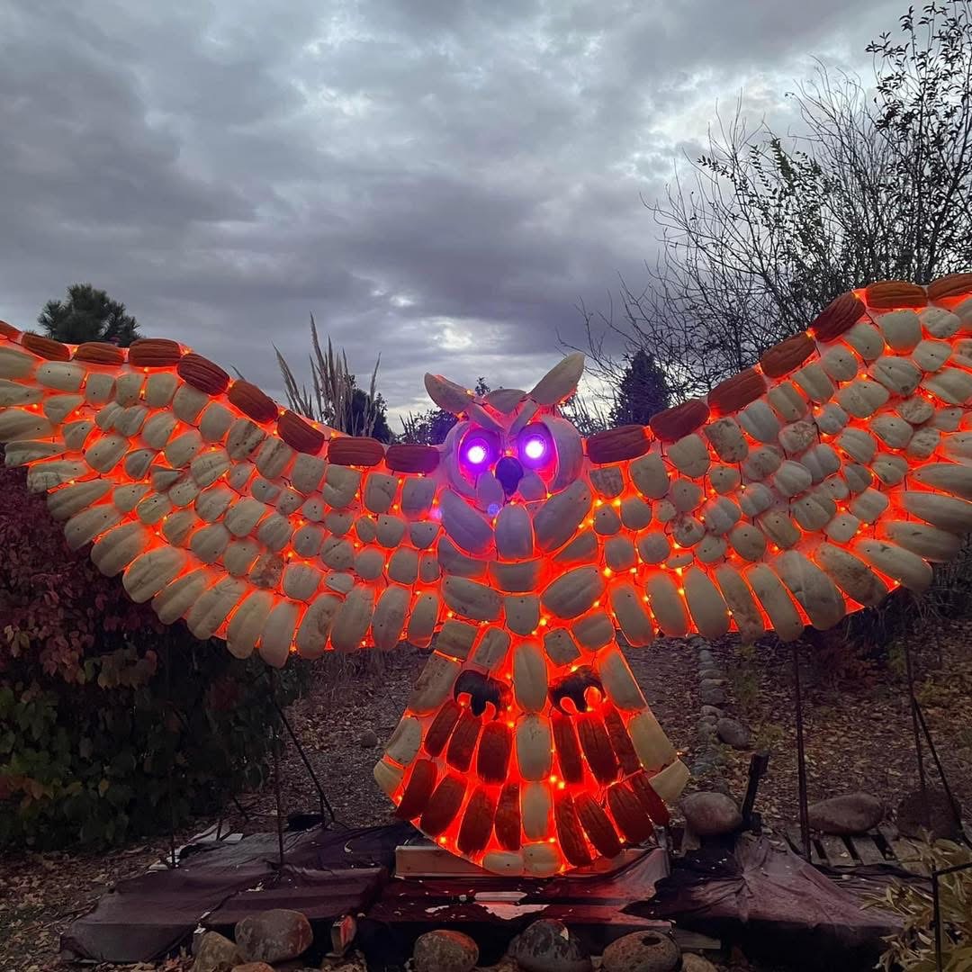 Grand Junction chef competes in new season of Food Network's