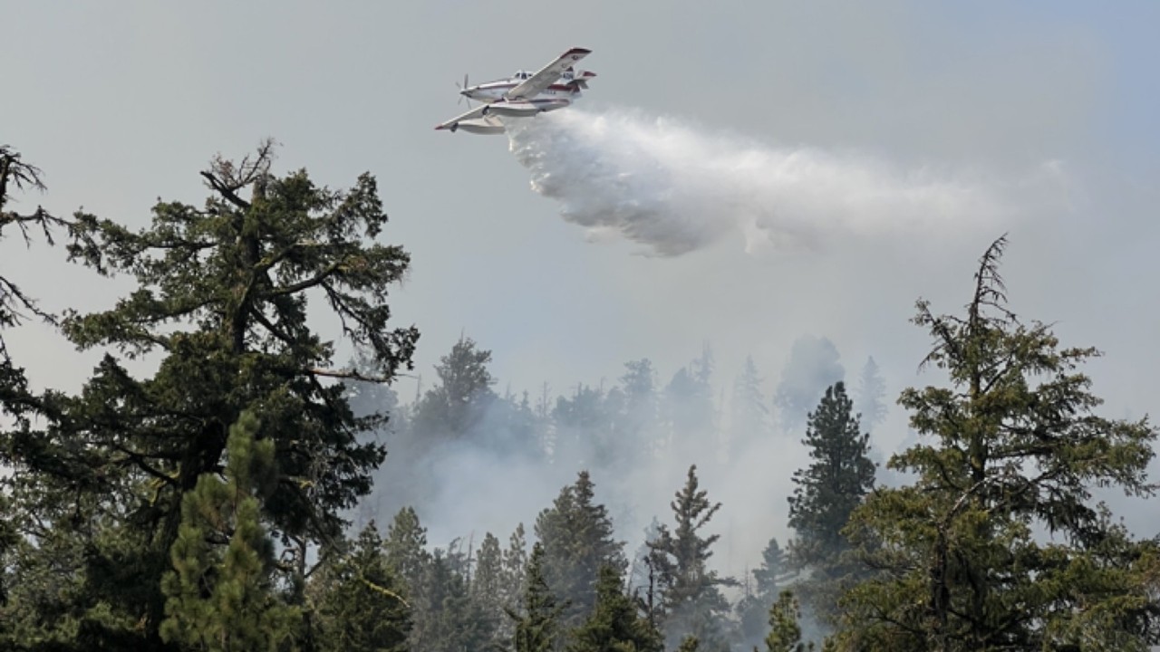 福山芳樹 FIRE BOMBER 2005 ELECTRIC FIRE 2007 福山芳樹 FIRE BOMBER 2005 ELECTRIC FIRE 2007 福山芳樹 FIRE BOMBER