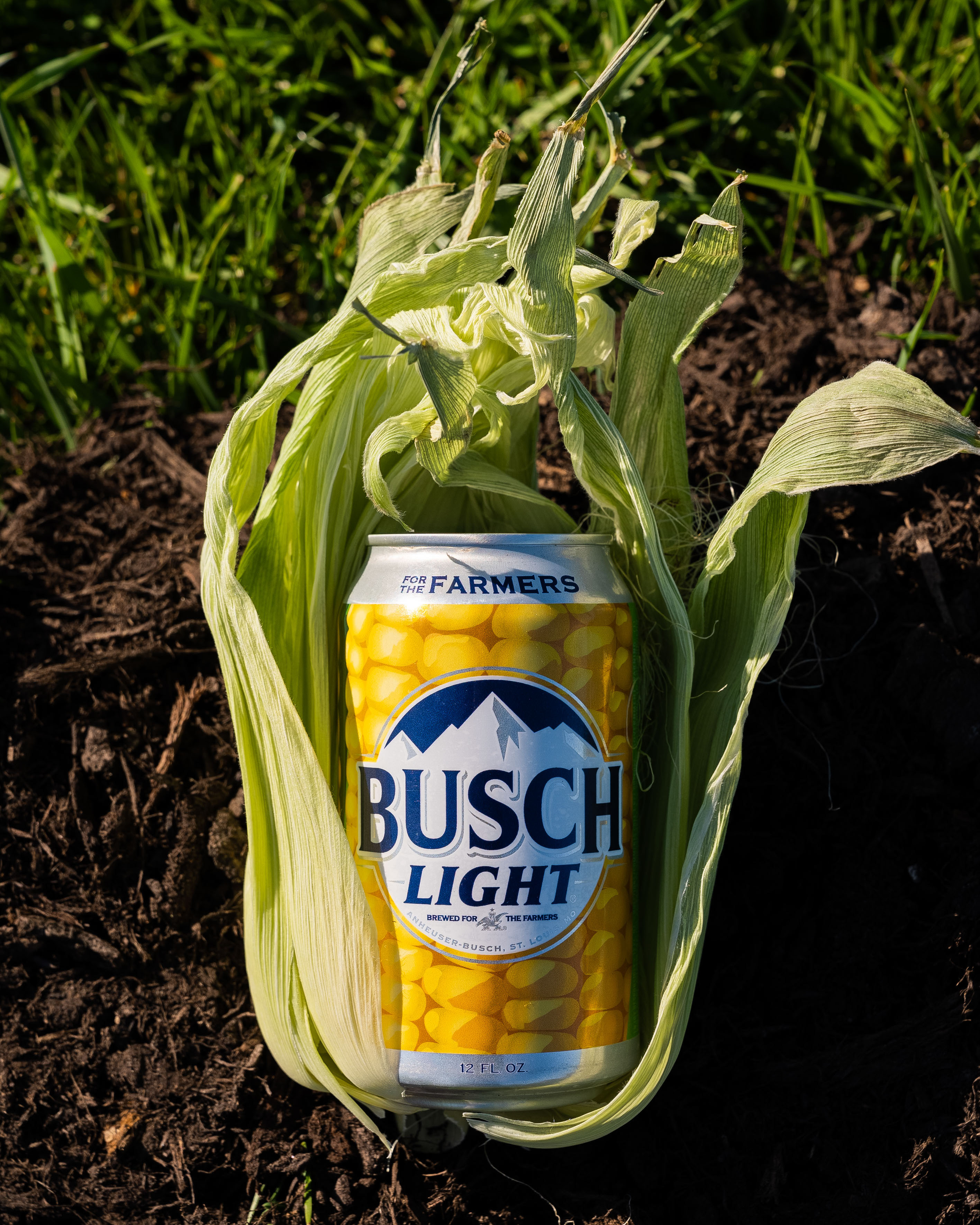 Busch Light launches Corn Cans to aid Kansas family farms