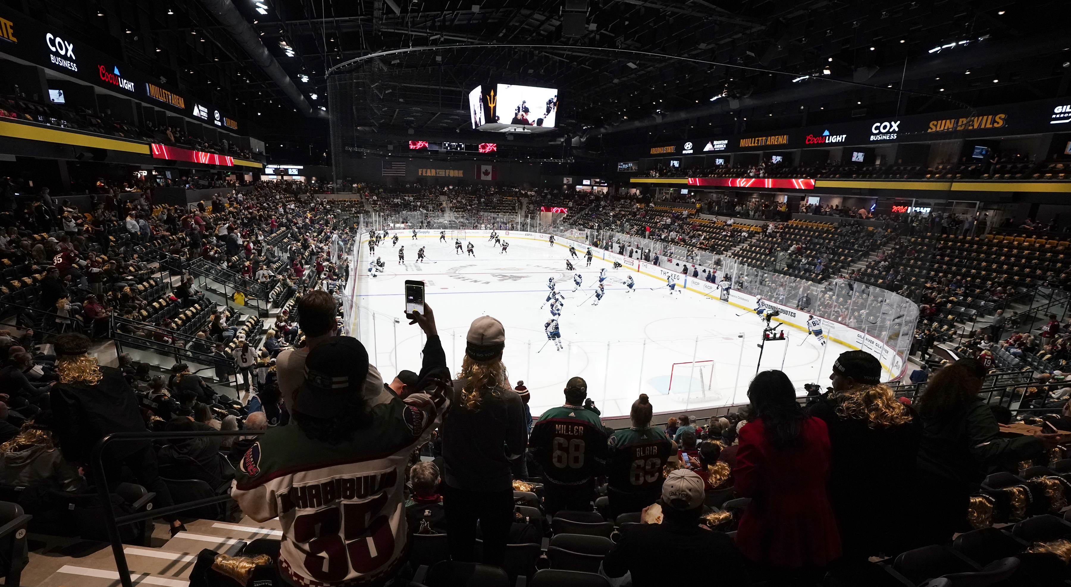 Arizona Coyotes owner intends to buy land in Mesa for possible sports arena