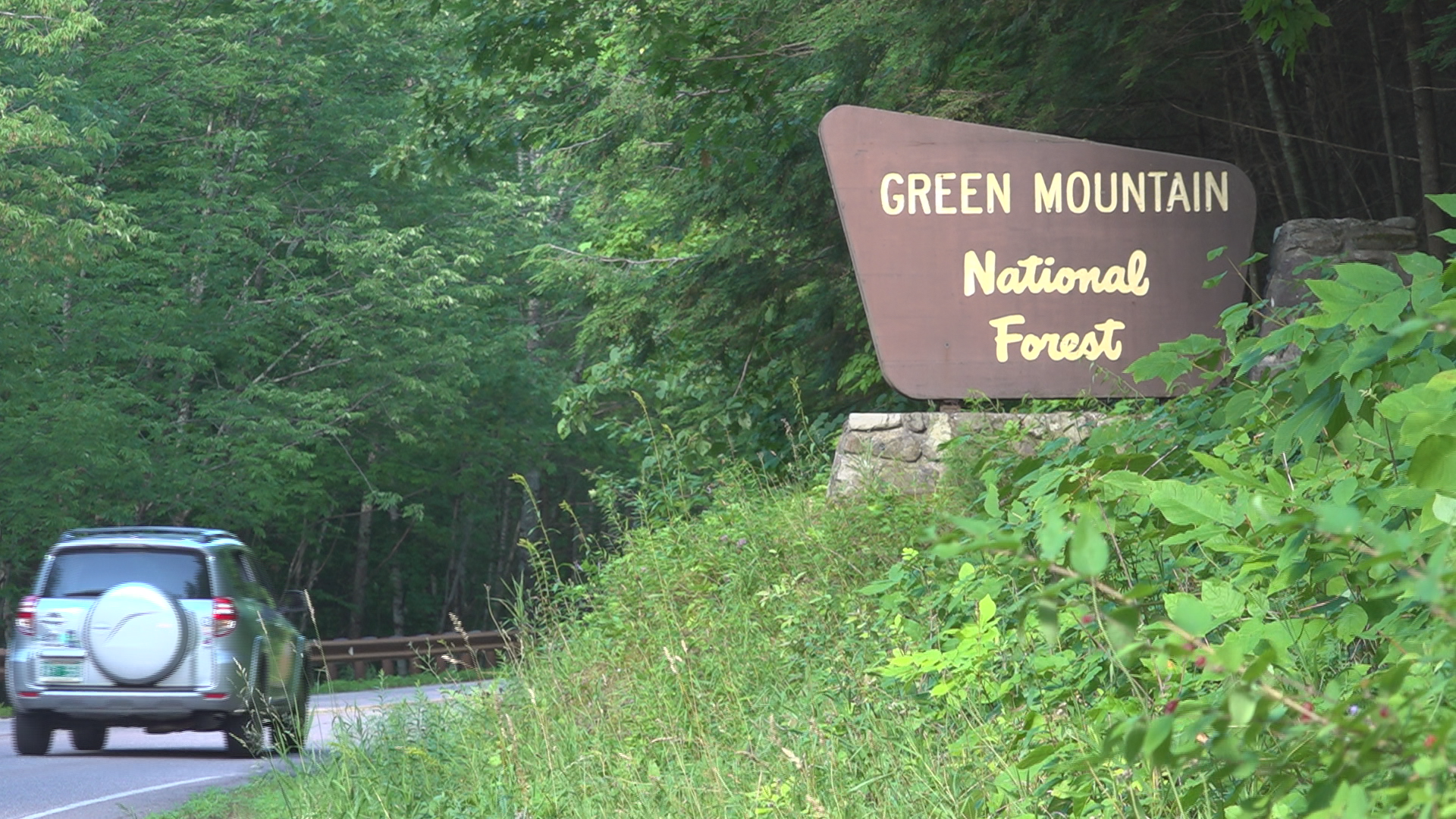 Deal protects about 2,800 acres in Green Mountain National Forest