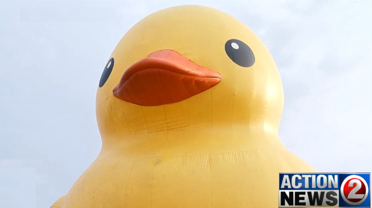 World's Largest Rubber Duck is selfie gold at Nicolet Bank Tall Ships