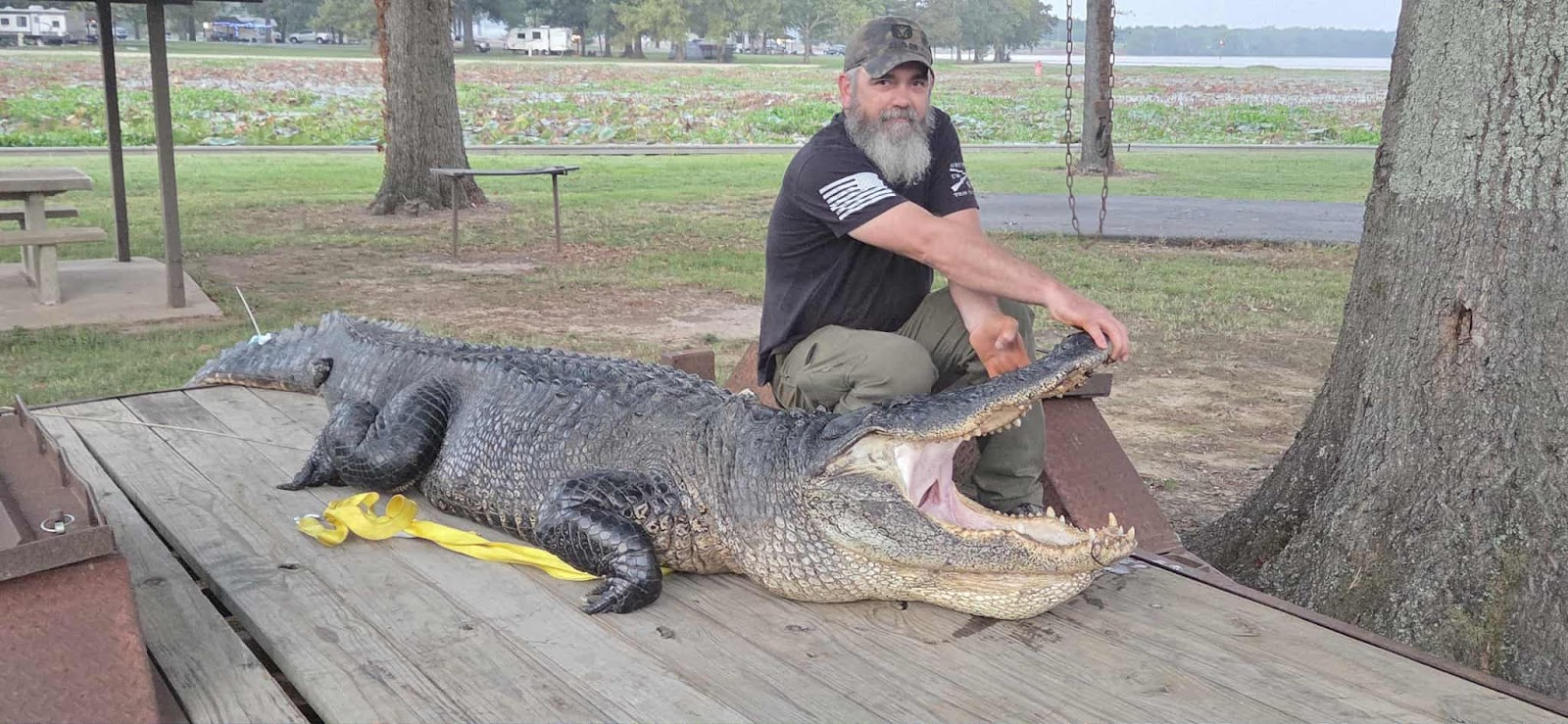 Arkansas hunters check 162 alligators in first weekend of season
