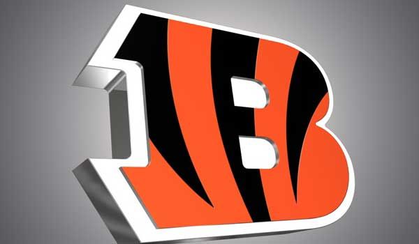 Bengals playoff tickets on sale