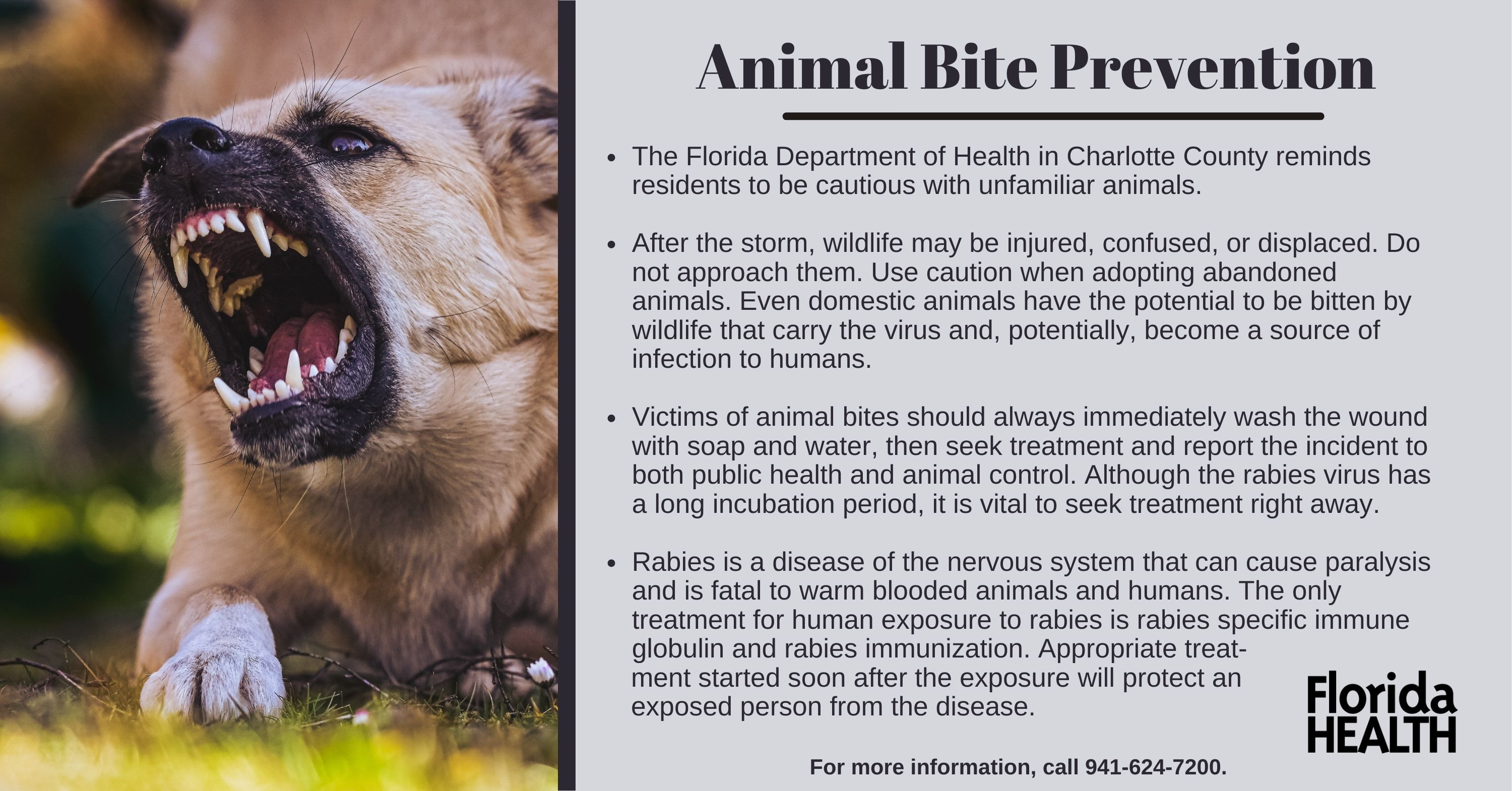Charlotte County warns of unfamiliar animals, bites following natural  disaster