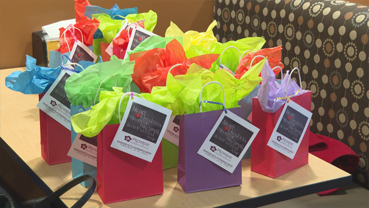 Primrose gifts NTC students bags full of kindness