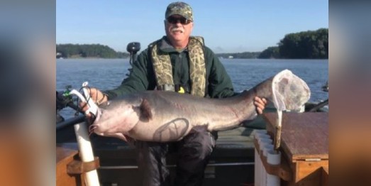 I'm still on cloud nine': N.C. man reels in massive catfish on Lake Norman