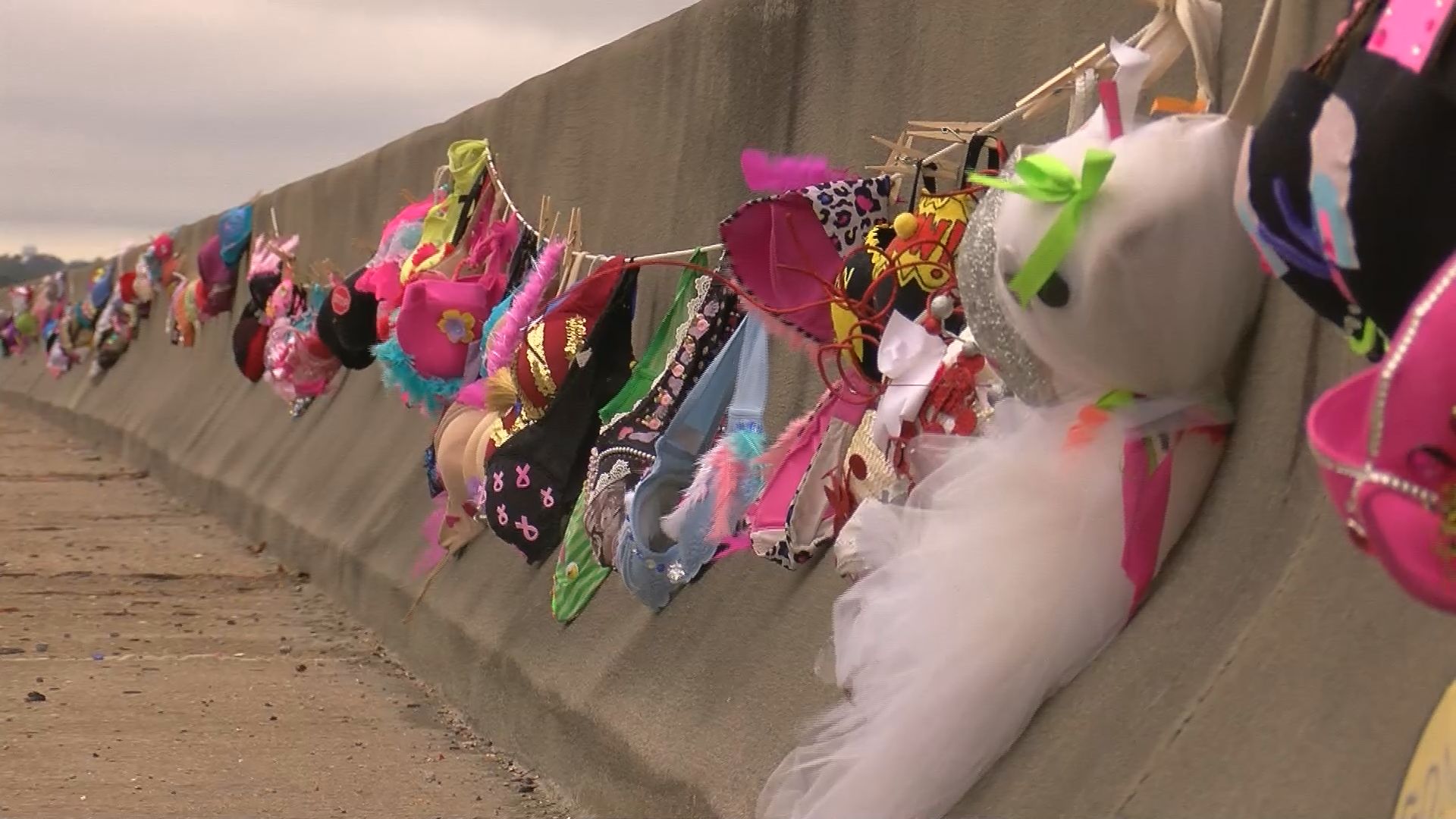 BRAs of the Bay Raises Awareness for Rights of Breast Cancer