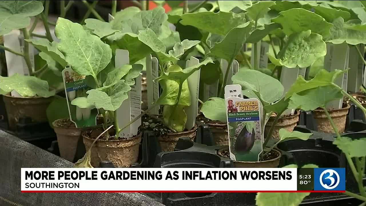 black people gardening