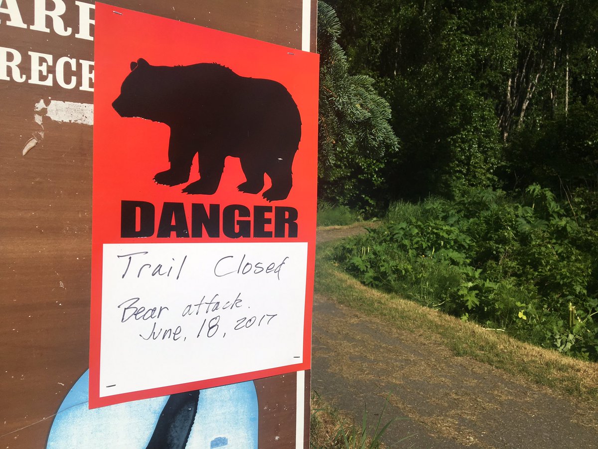 Extremely agitated' black bear killed by police in East Anchorage