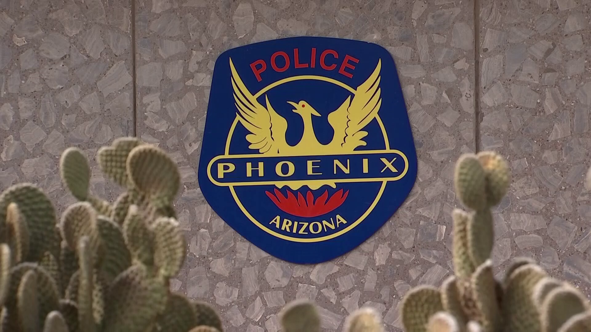 Phoenix Police seeks public input updating non-lethal weapons policy