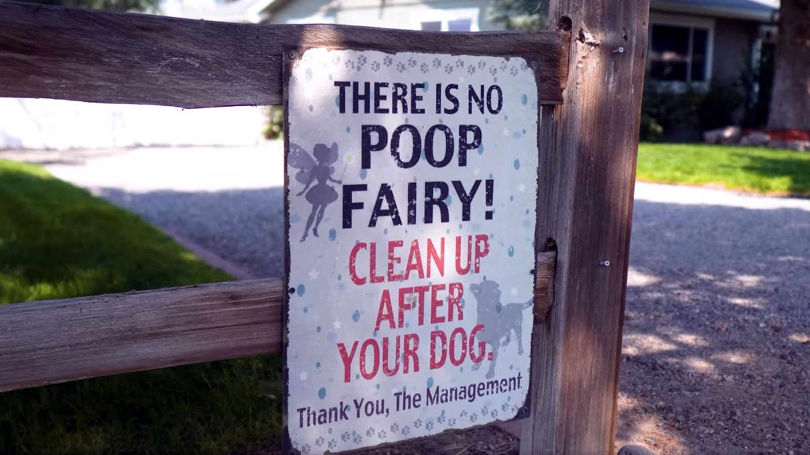 Do You Have To Pick Up Dog Poop In The Woods