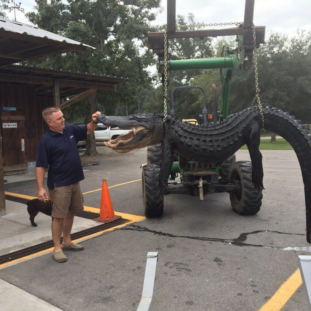 Gators escape on Matharu buzzer beater - The Independent Florida Alligator