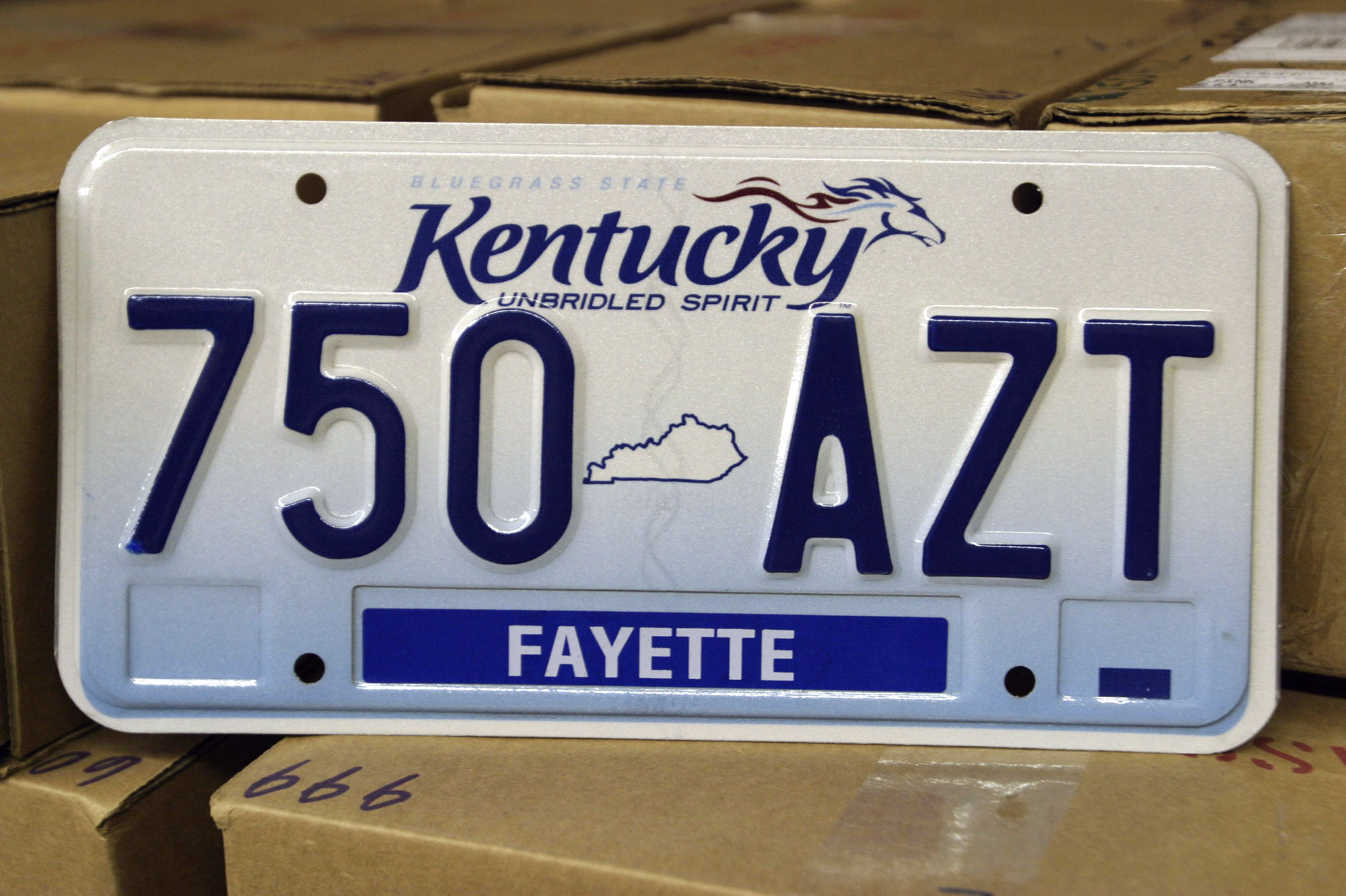 Motorcycle License Plate In Kentucky | Reviewmotors.co