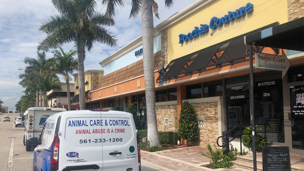 Boca Raton pet store under investigation by Palm Beach County