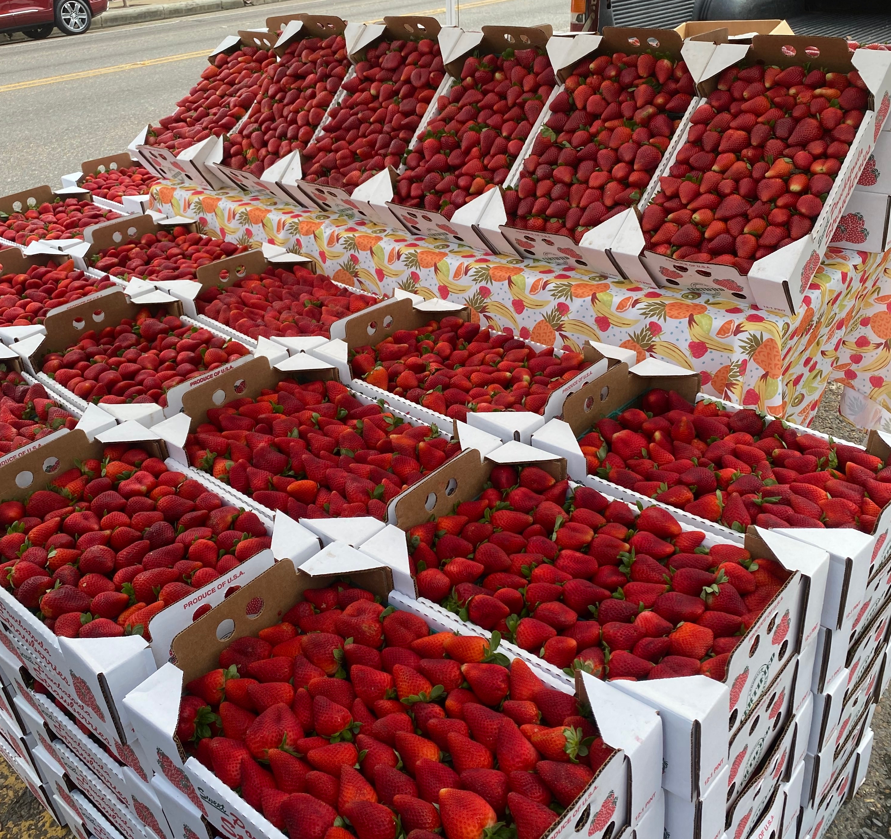 Ponchatoula ready for its 50th Strawberry Festival after 2-year absence