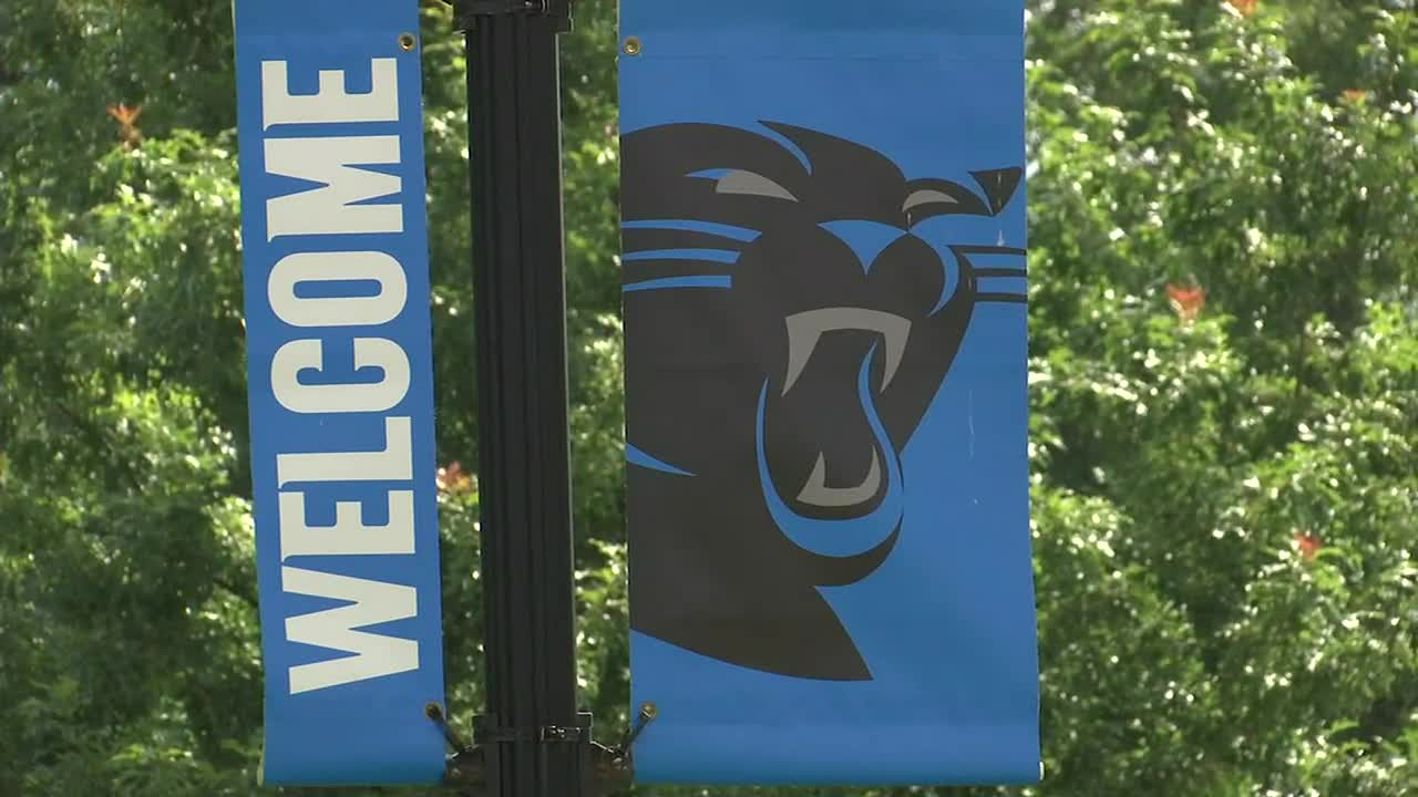 Carolina Panthers on X: Fan Fest tickets are now available