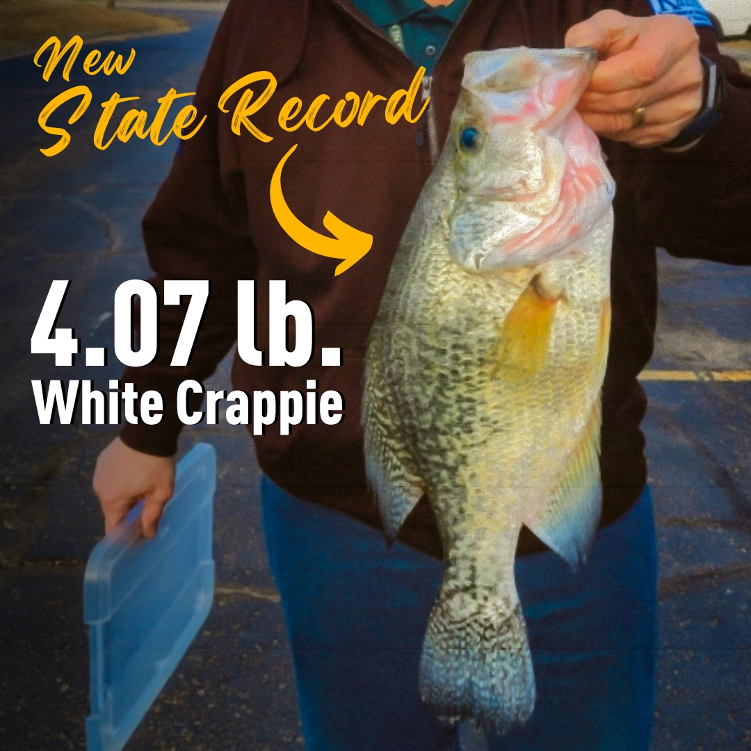 Topeka angler breaks 60-year-old state record with Crappie catch